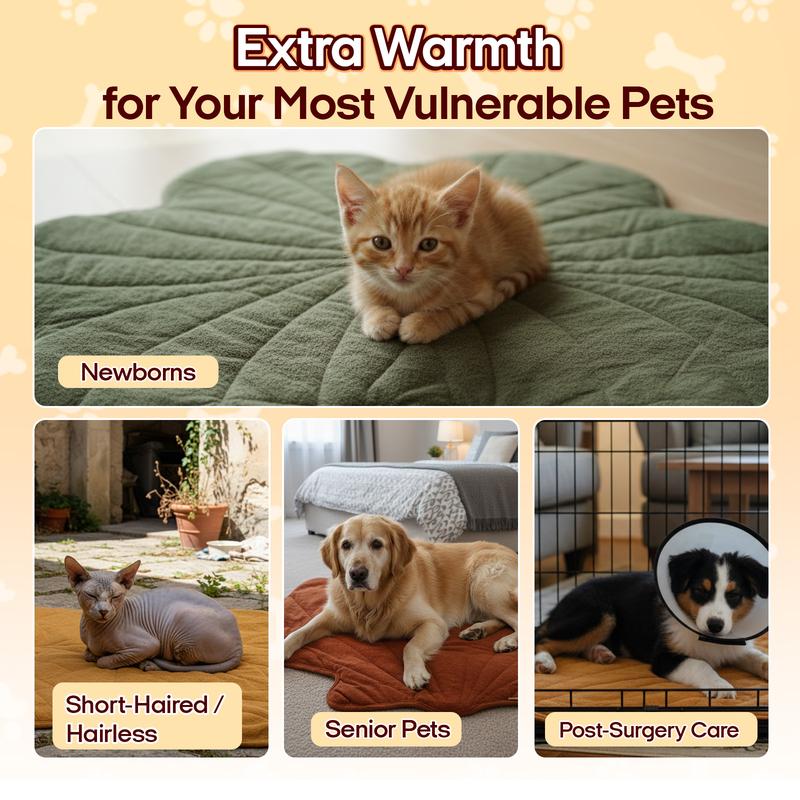 Heated Pet Pad