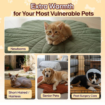 Heated Pet Pad